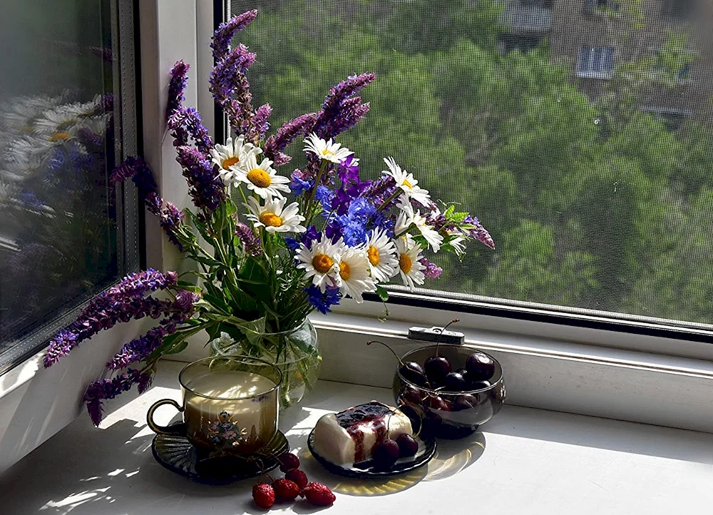 Blumen am Fenster