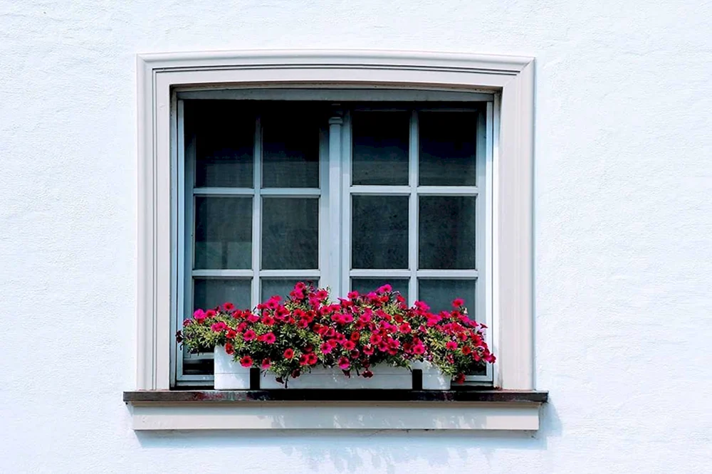 Schöne Fenster