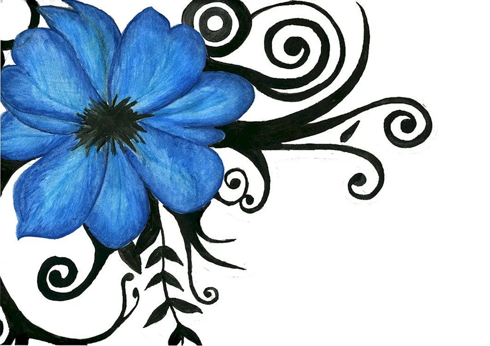 Blumen zeichnen