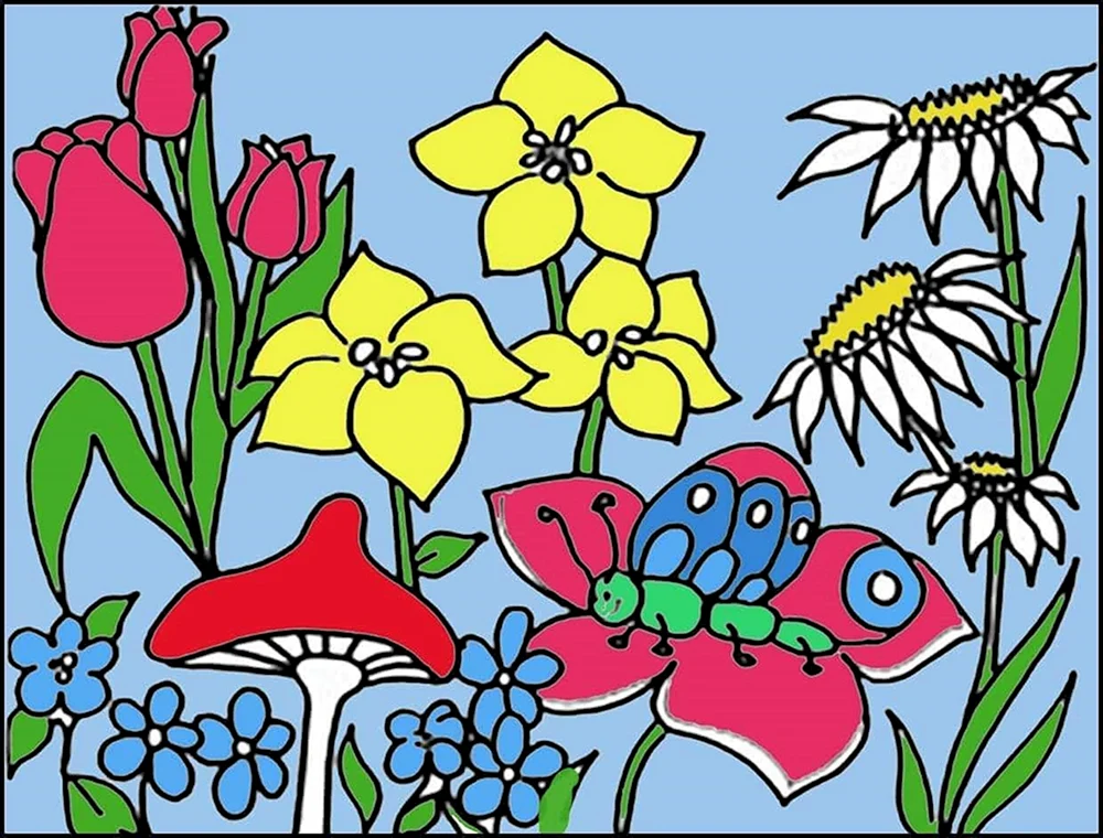 Blumenbilder