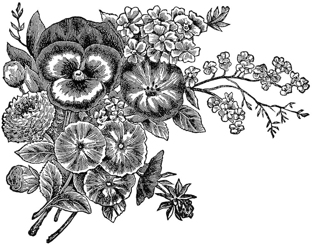 Blumenmuster
