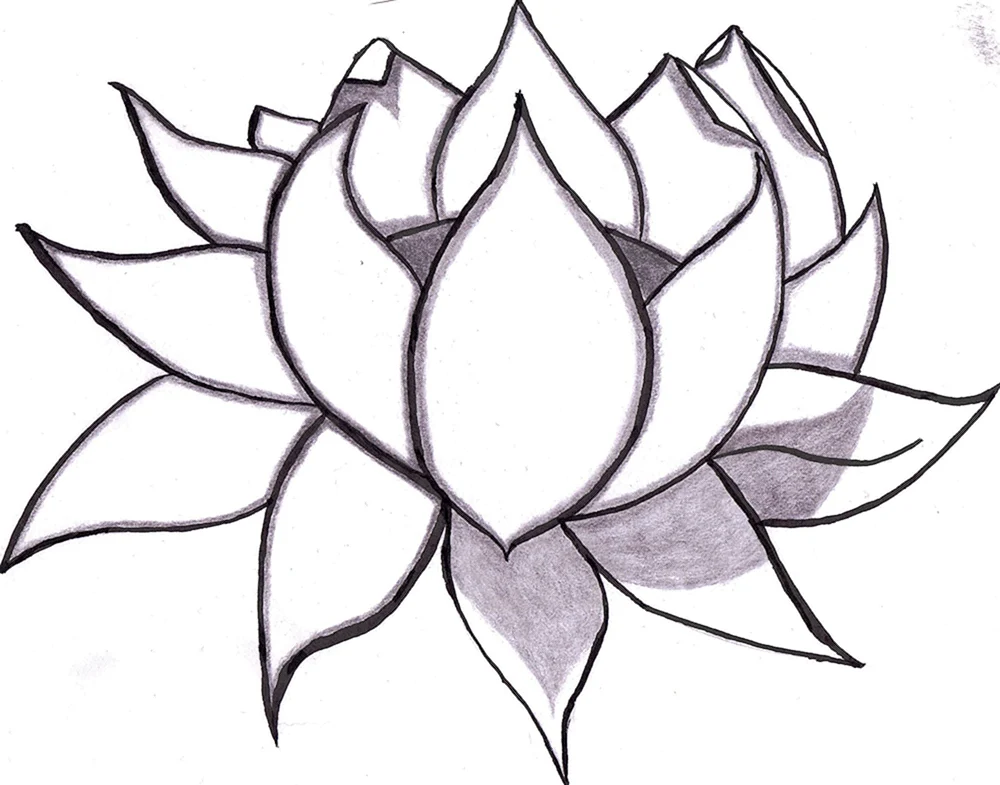 Blumen Zeichnung