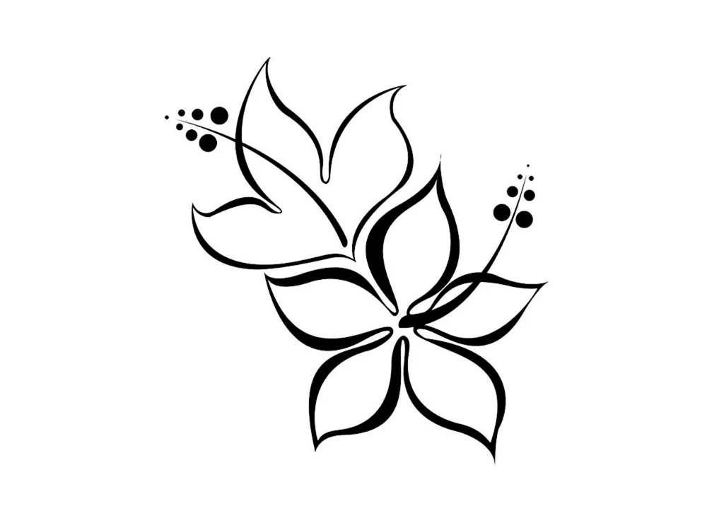 Sakura Kirschblütenbaum