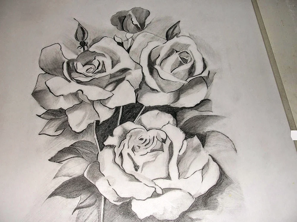 Blumen zeichnen mit Bleistift
