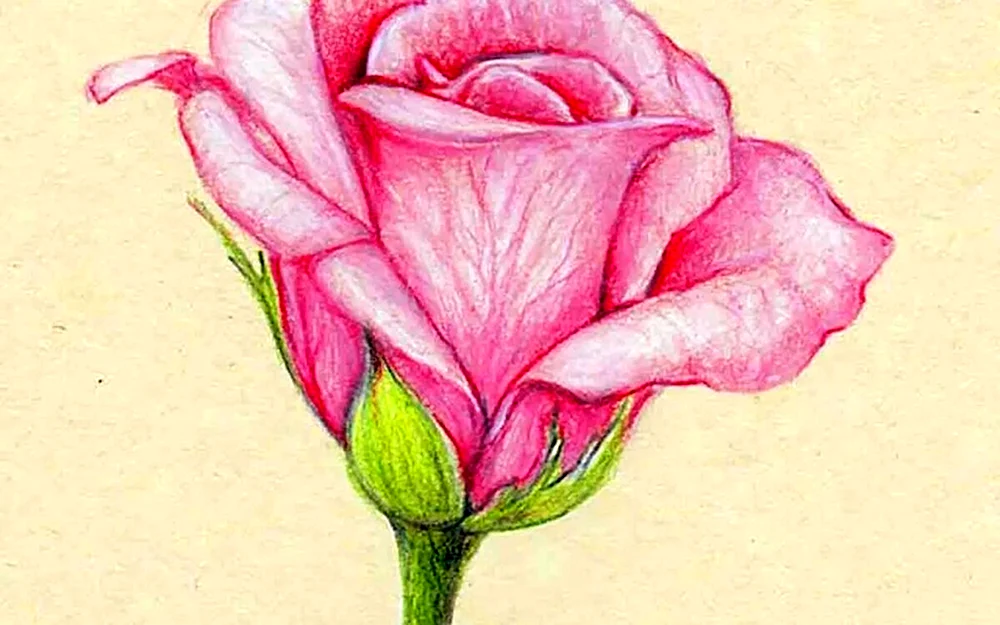 Kleine Blumen Skizze