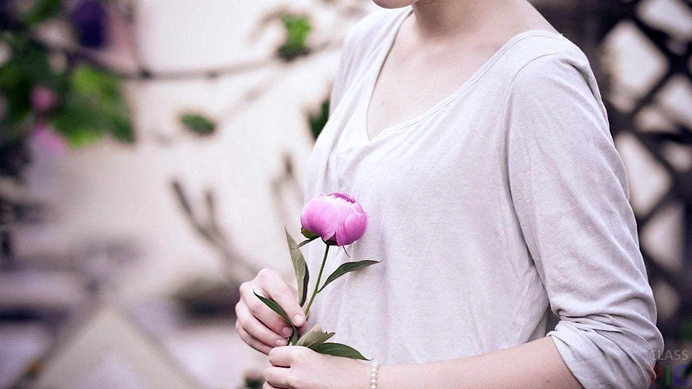 Zarte Blumen in den Händen eines Mädchens