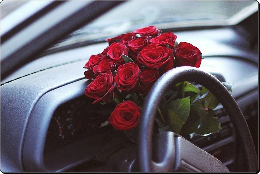 Blumen im Auto