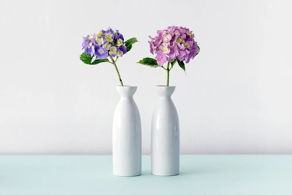 Blumen in einer Vase