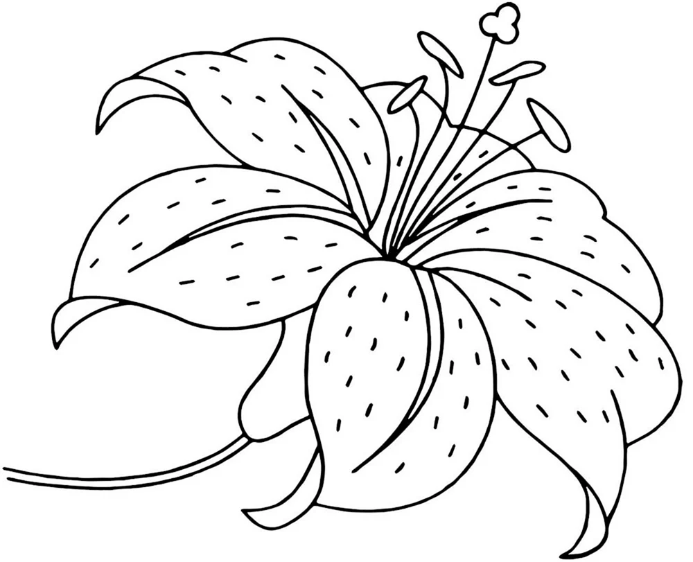 Tulpenstrauß