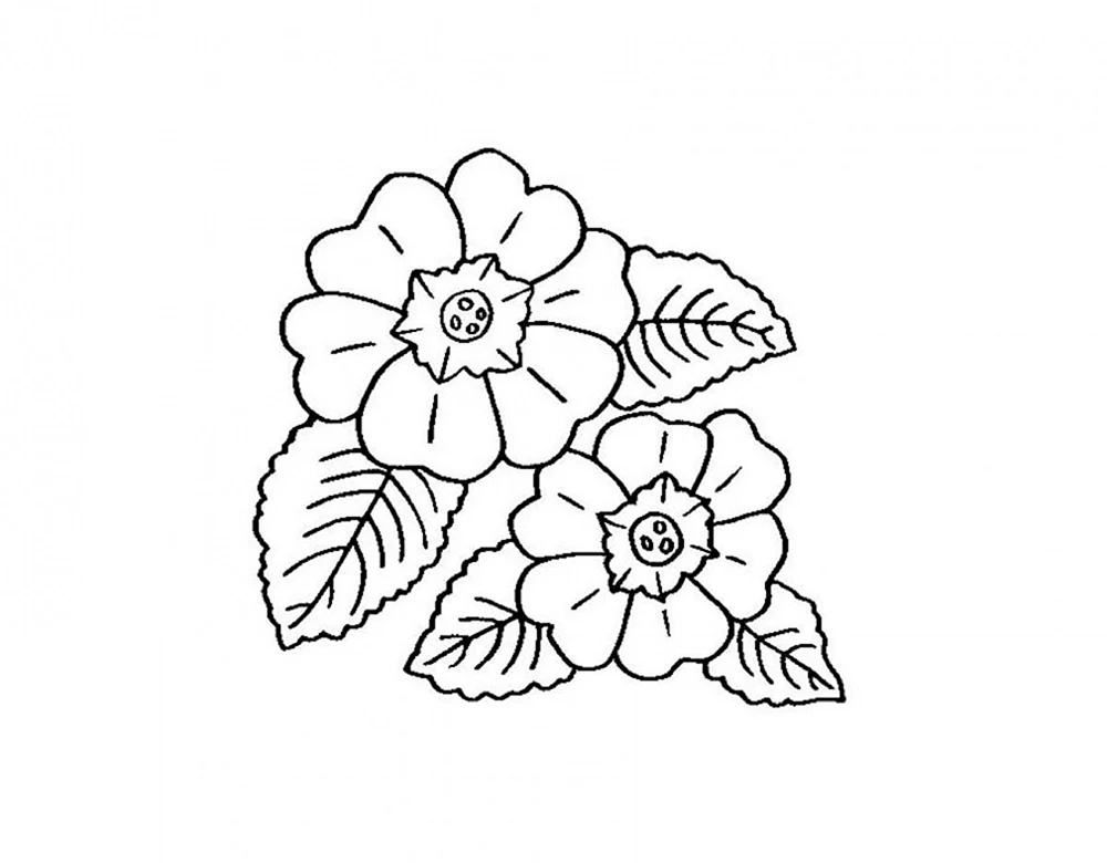 Blumen. Ausmalen