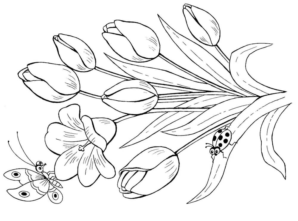 Blumen zeichnen