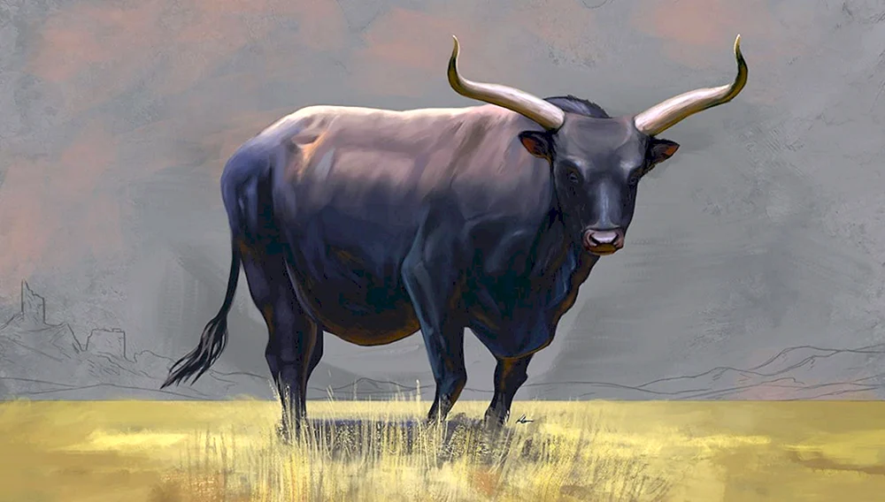 Texas Longhorn