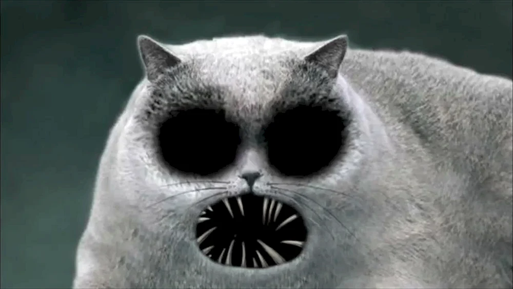 Die furchterregende Katze aus dem Film