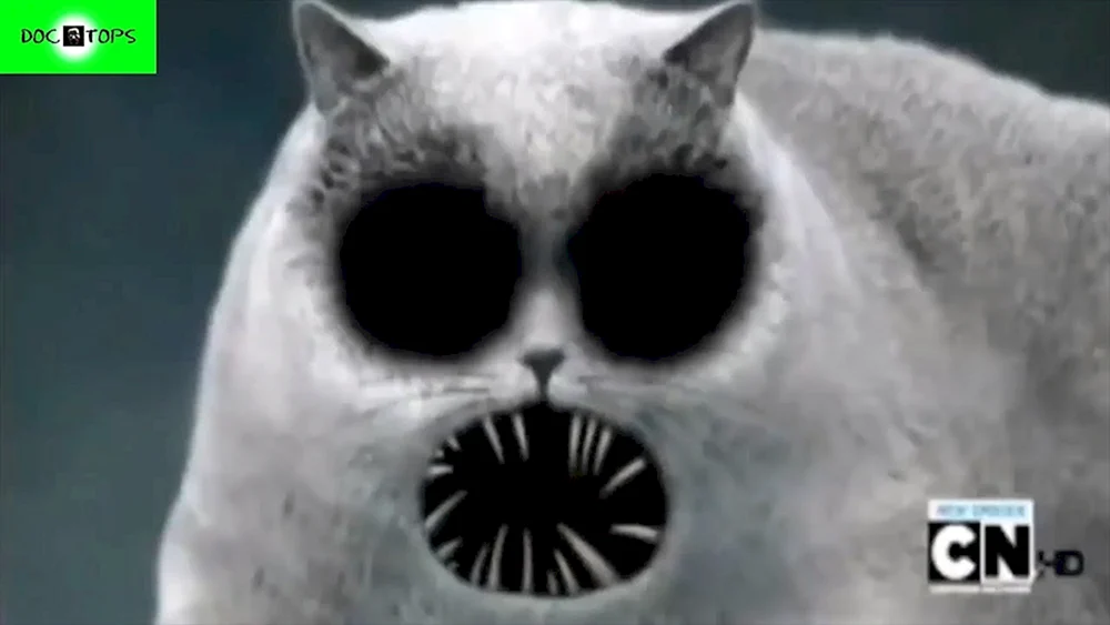 Die Katzenrasse Lycoi
