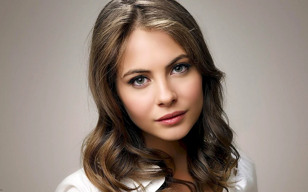 Will Holland