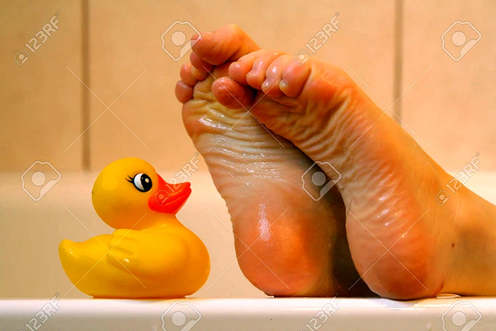 Ente in der Badewanne