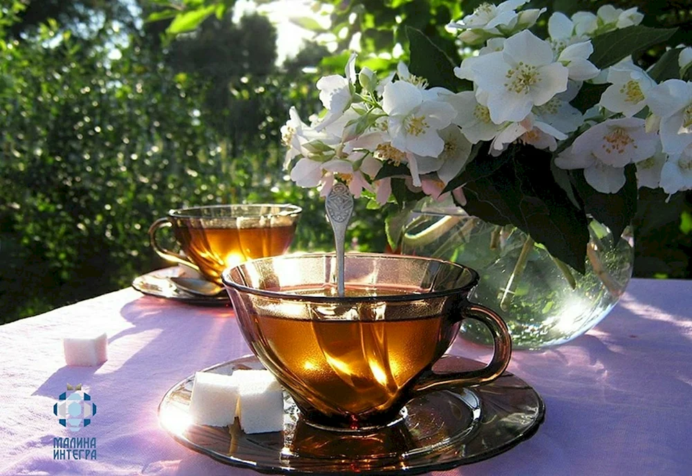 Frühlingsteetasse