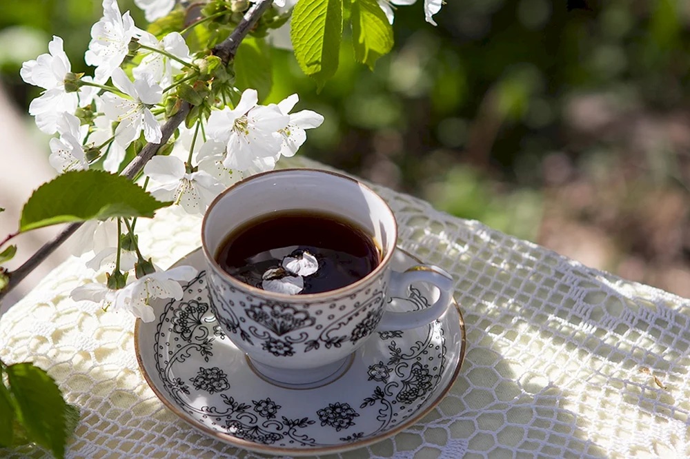 Tee in der Natur