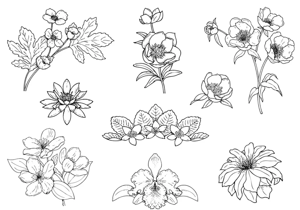 Blumenmuster zum Zeichnen