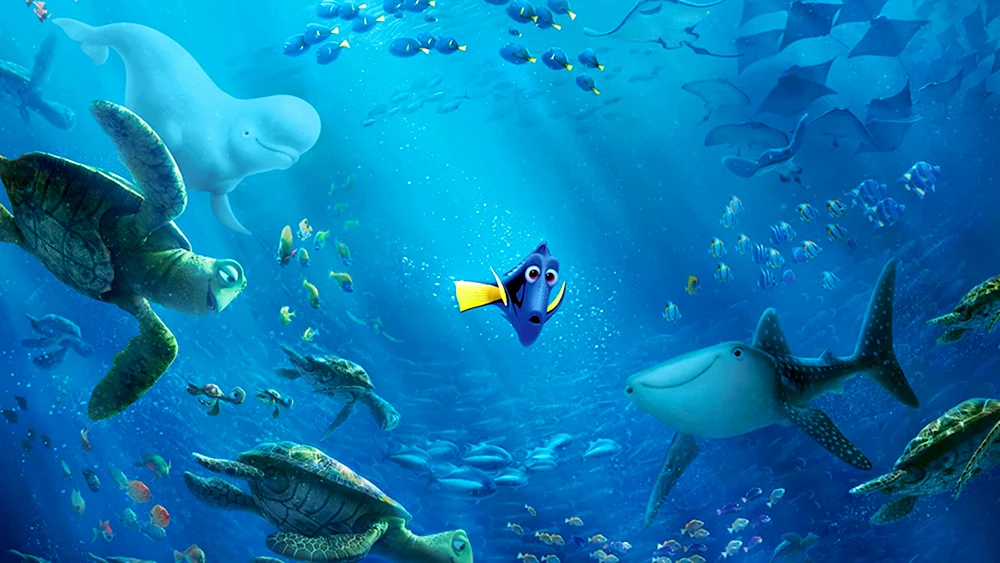 Finde Nemo dory