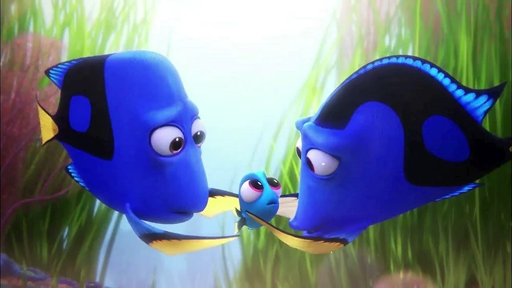 Nemo Fisch dory