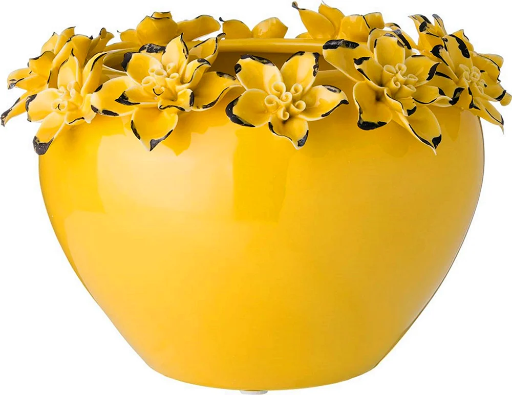 Vase Krokosmie