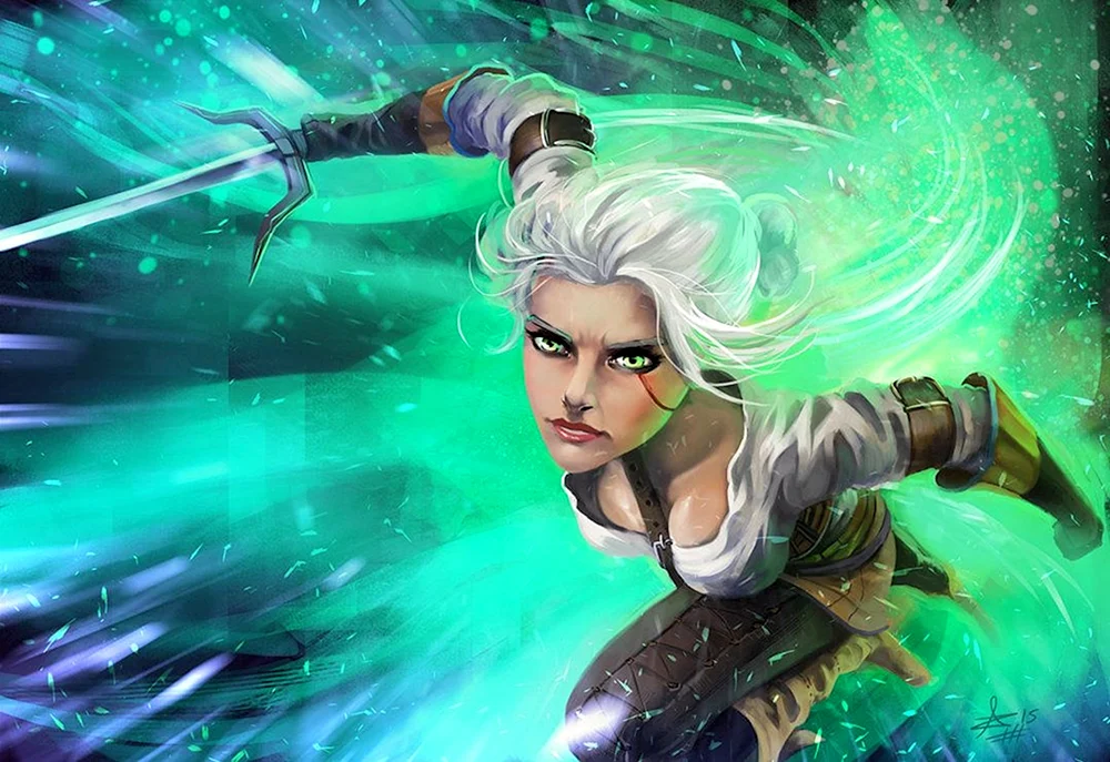 Witcher 3 Kunst