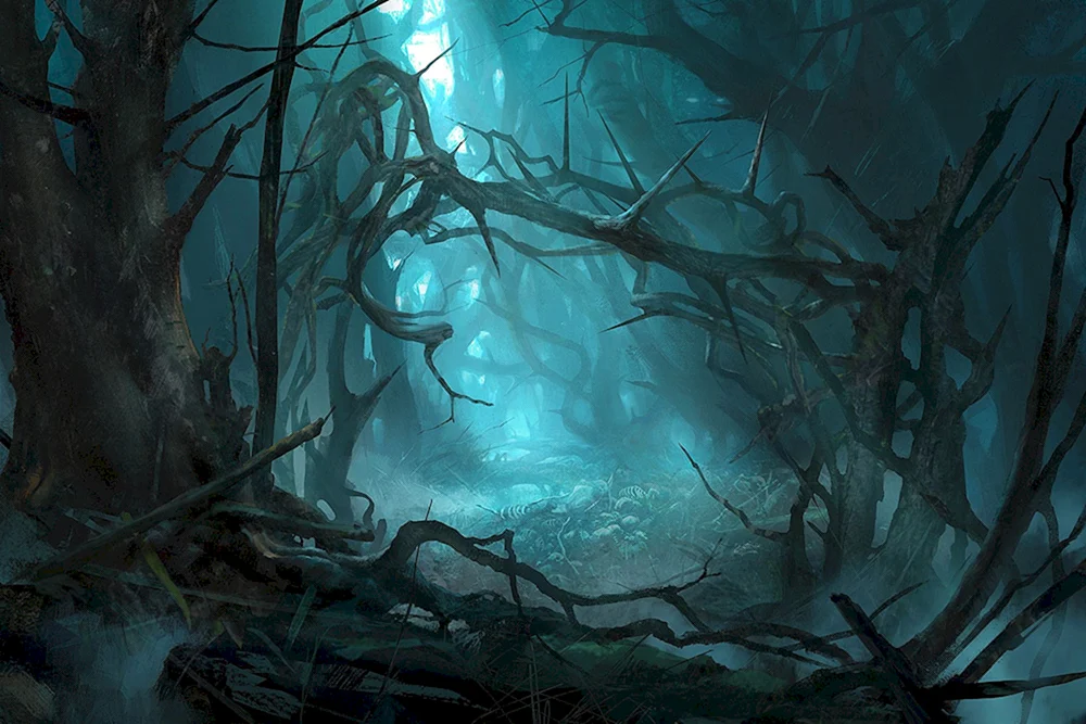 Thomas Ascott Astral-Wald