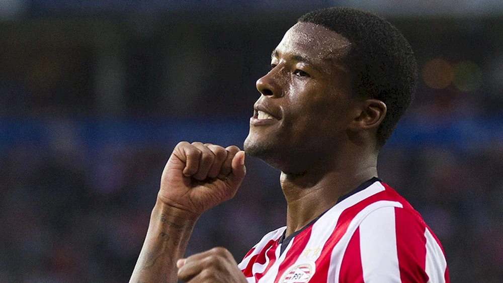 Wijnaldum ähnliche Spieler