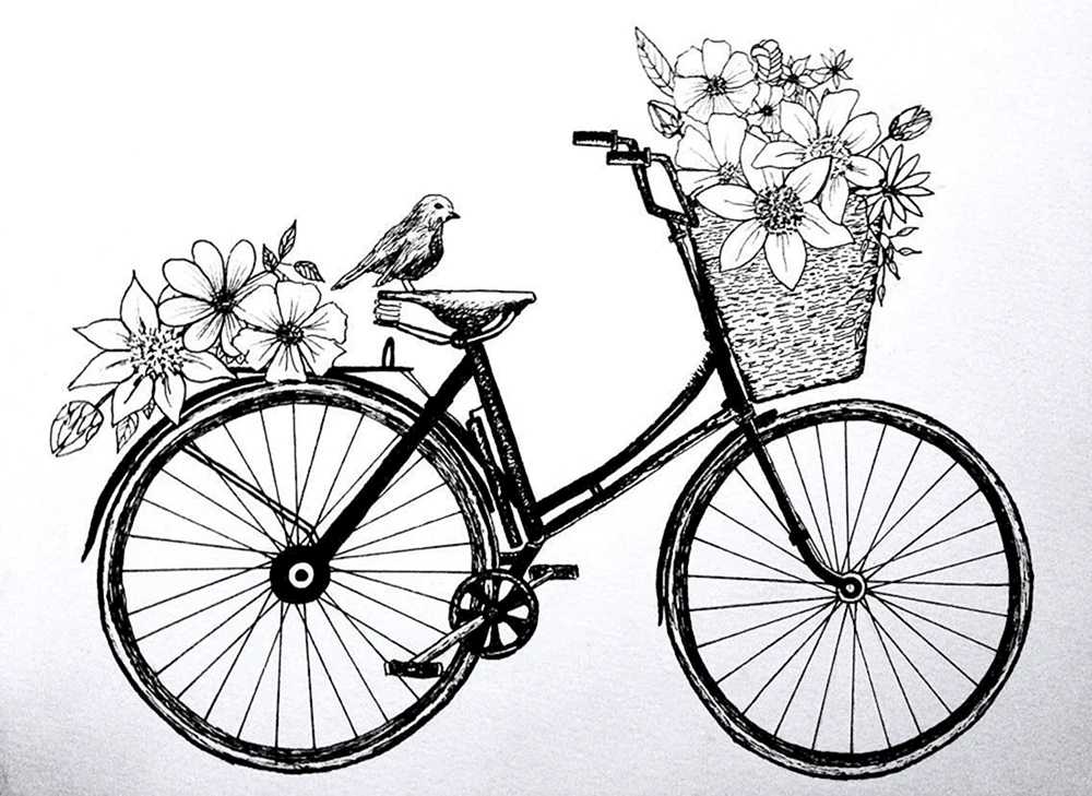 Fahrrad Skizze