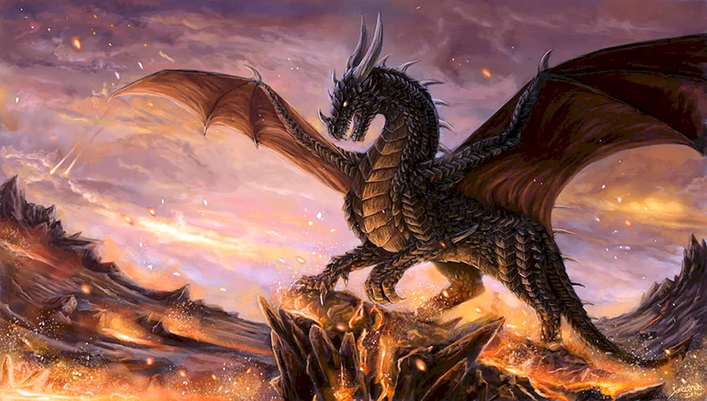 VERMITOR Drache