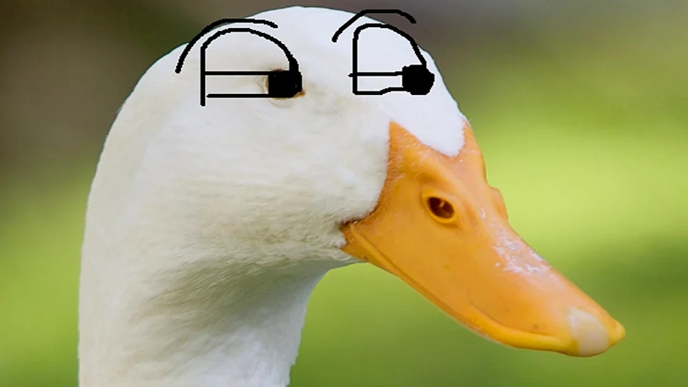 Agent Hitman Gans