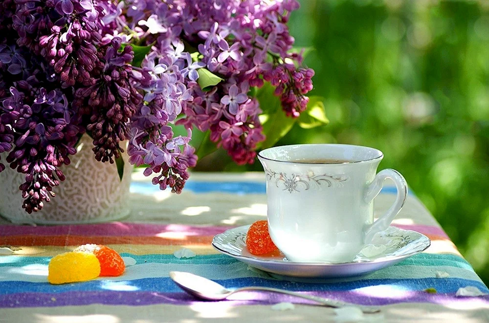 Frühlingsmorgen
