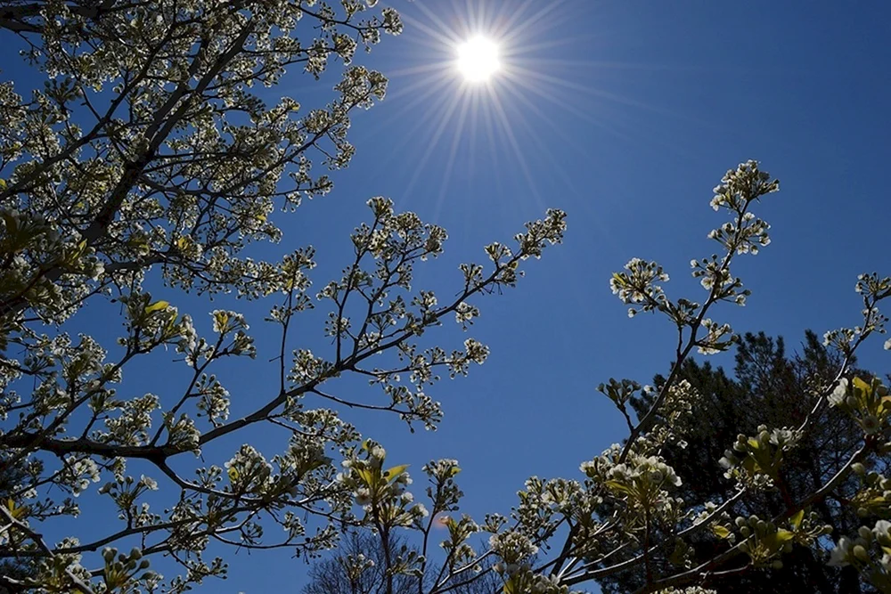 Sonniger Tag
