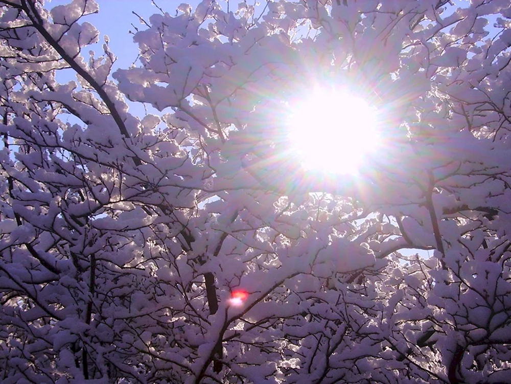 Sonnige Frühlingssonne