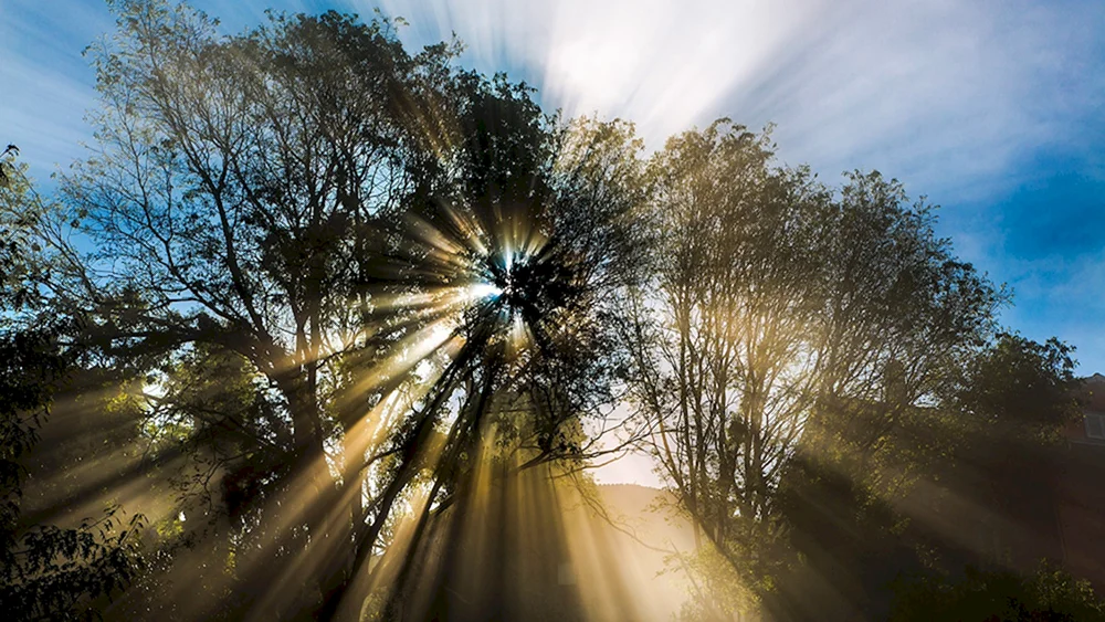 Sonnige Sonne