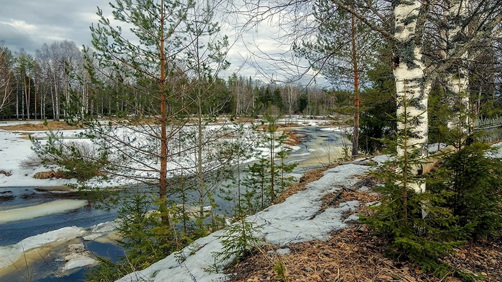 Frühjahrstauwetter Levitan