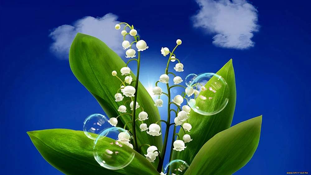 Frühlingsblumen