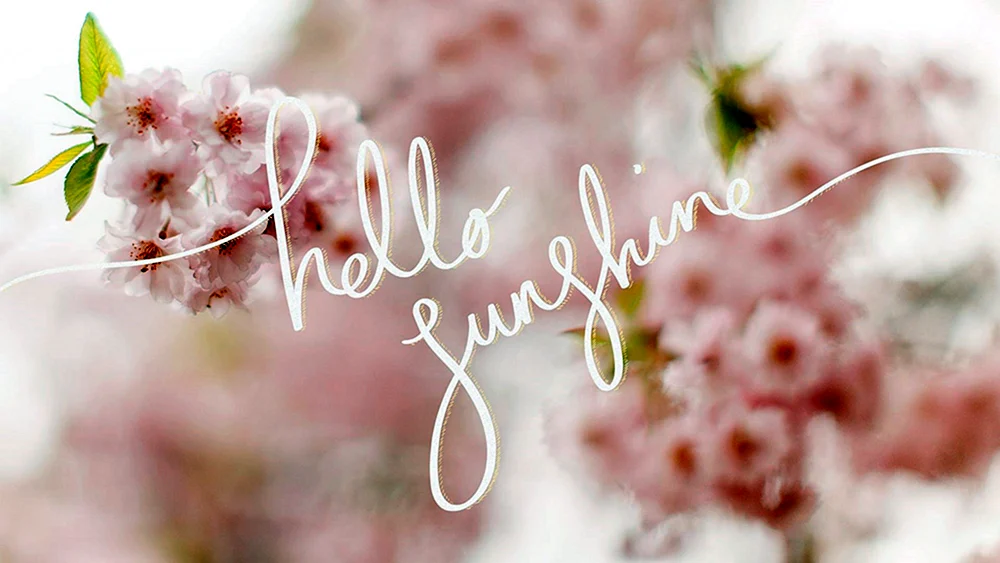 Frühling Hintergrund türkisfarbener Hintergrund