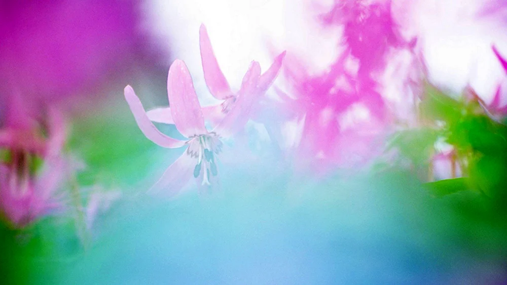 Frühlingshafter Hintergrund