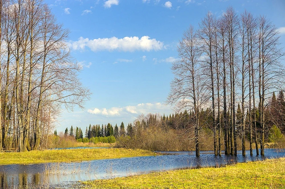 Frühlingslandschaft
