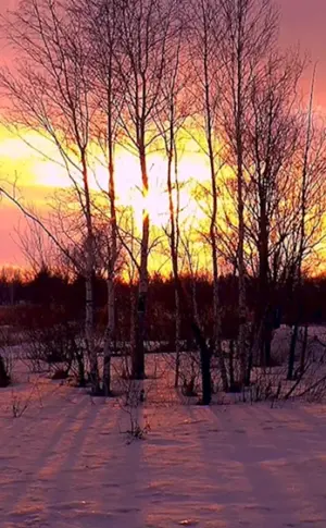 Frühlings-Sonnenuntergang