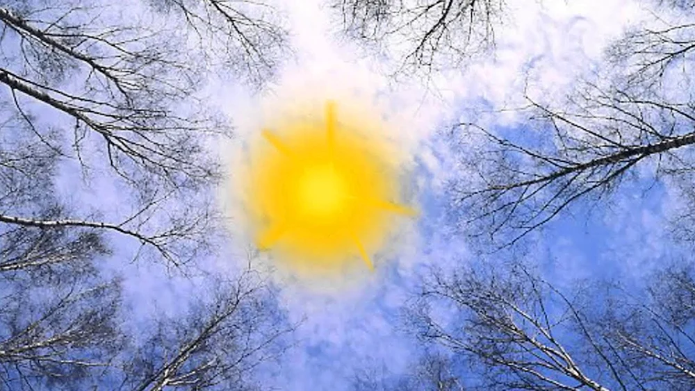 Sonnige Frühlingssonne