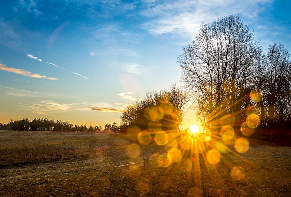 Vorfrühling