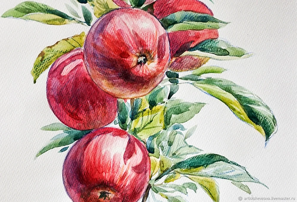 Apfel mit Buntstiften