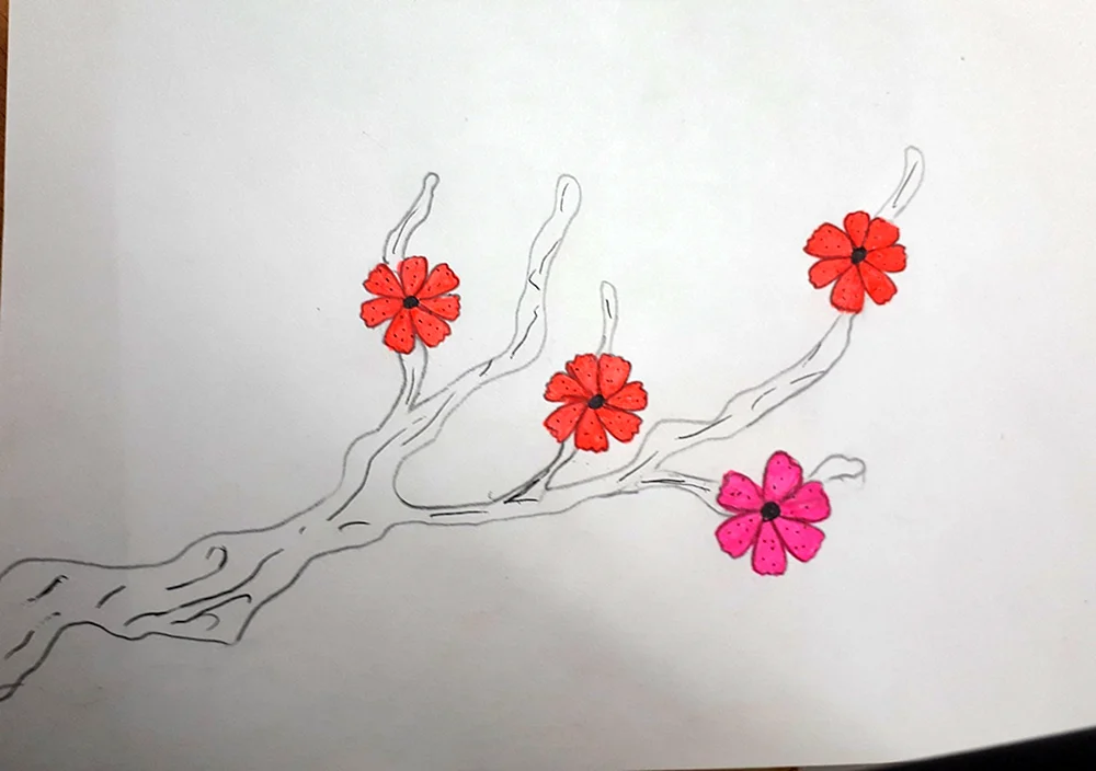 Sakura Zweig Schritt-für-Schritt Zeichnung