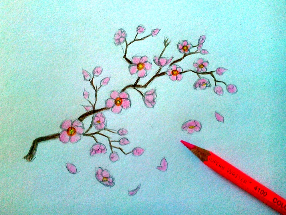 Sakura Zweige zum Zeichnen