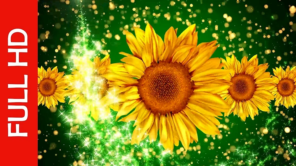Blumen Chromakey für Videobearbeitung