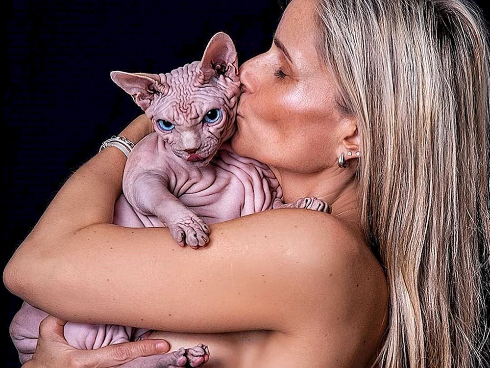 Ungewöhnliche Katzen