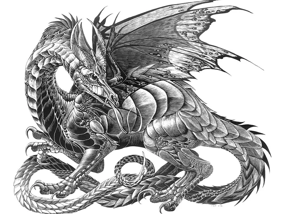 William Schwarzer Drache